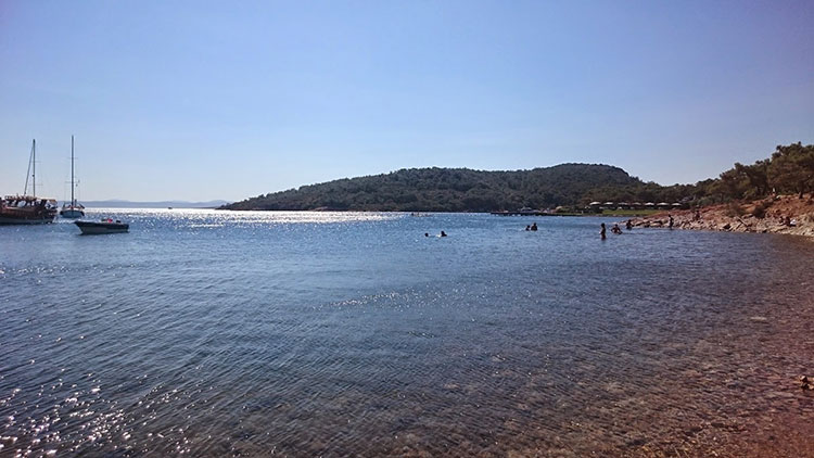 Ortunc_Koyu Ortunc_Koyu